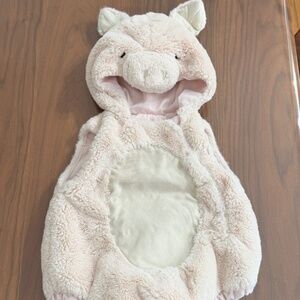 Pottery Barn Baby Piglet Halloween Costume